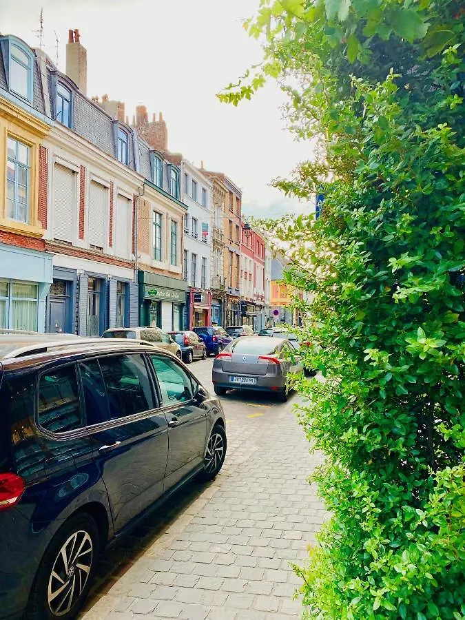 Appartement Confort Vieux-Lille France